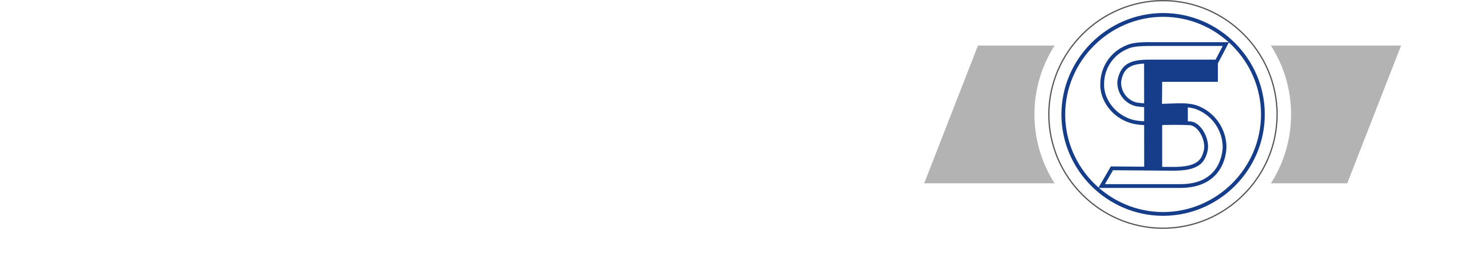 Gesamtlogo - transparenter Hintergrund